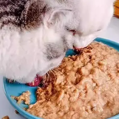 Упаковочные машины для кормов для домашних животных