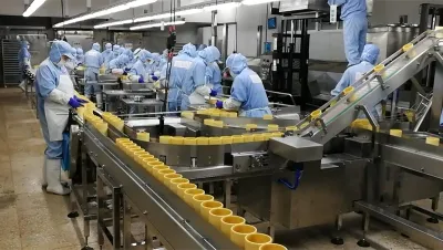 Машина для упаковки в готовые пакеты YL-10SR