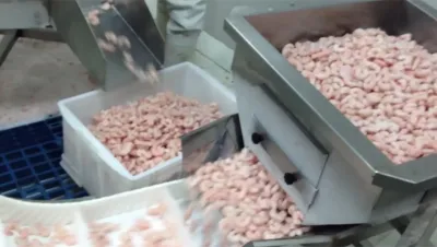 Машина для упаковки замороженных креветок