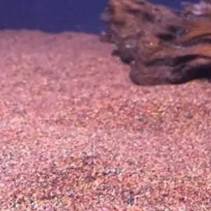 Линия для упаковки гранулированных продуктов